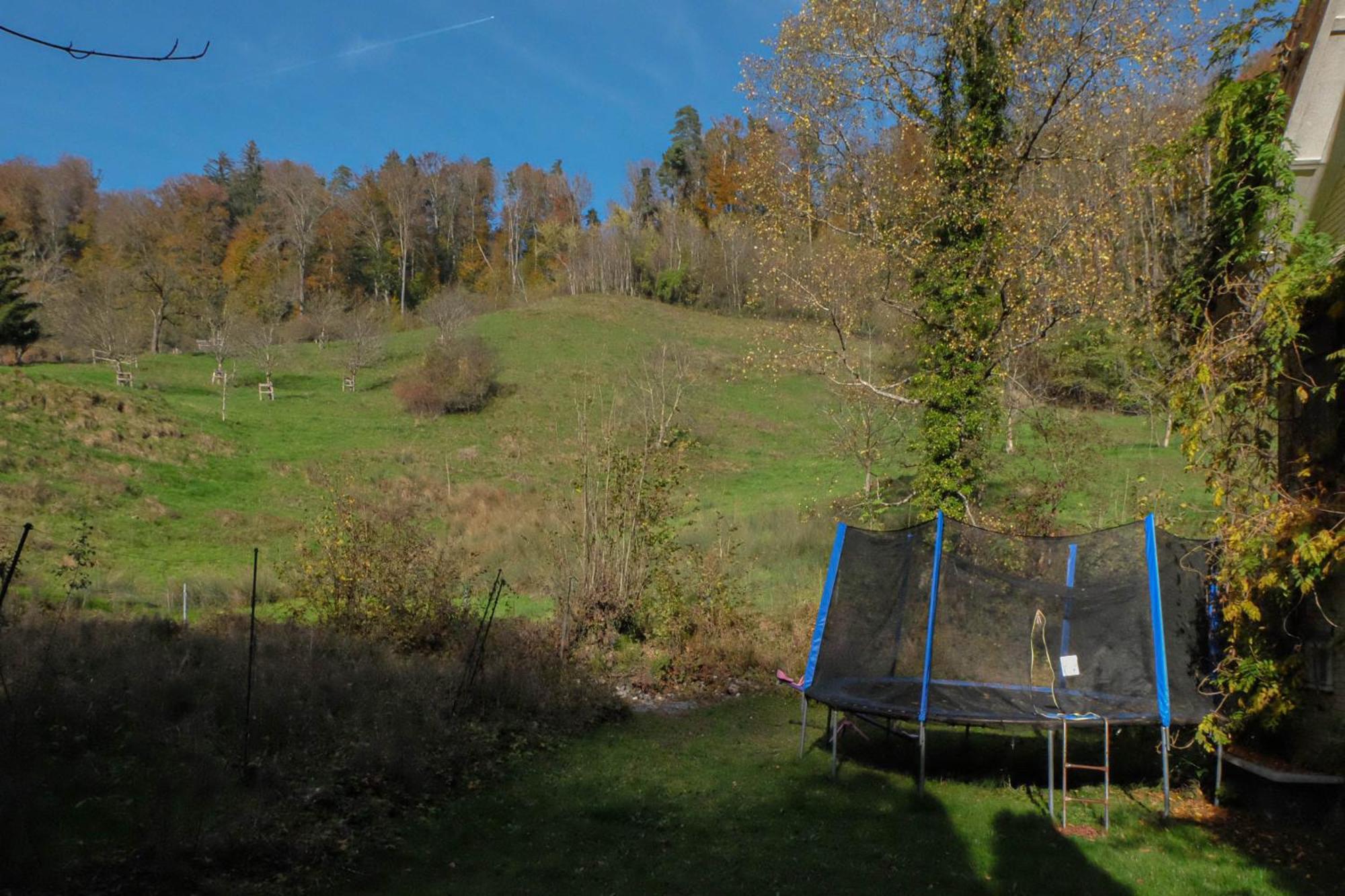 Ferienwohnung Im Gruenen Altstätten Exterior foto